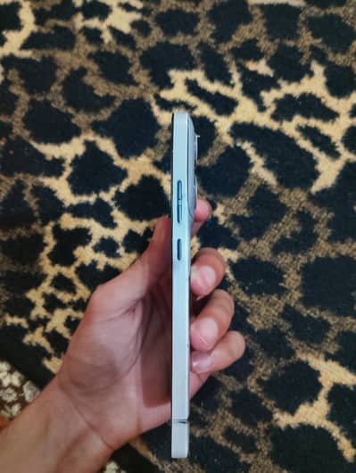 budget friendly phone