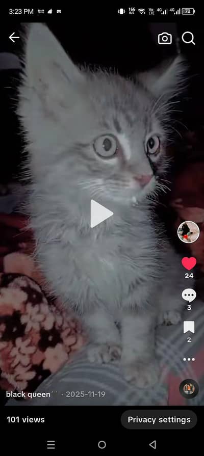 beautiful gray colour