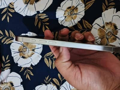 i phone 15 pro max. 256