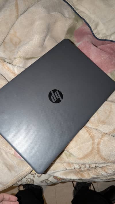 HP i7 10th gen, 2GB Nvidia GPU, 8GB RAM, 512 SSD