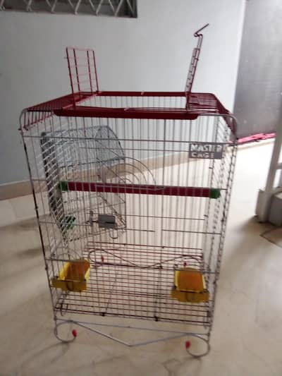 parrot cage