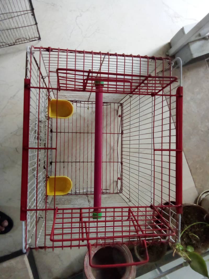 cages parrot cage 1