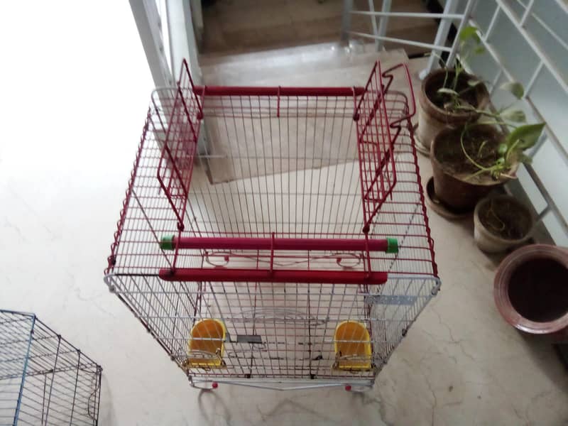 cages parrot cage 2