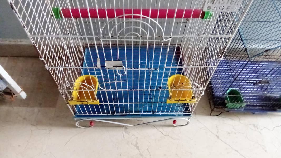 cages parrot cage 4
