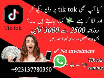 TikTok earning team