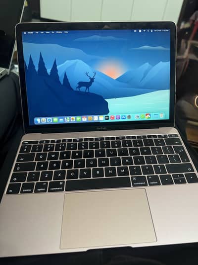 Macbook 2016 Rose Gold 10/10 8gb 256gb