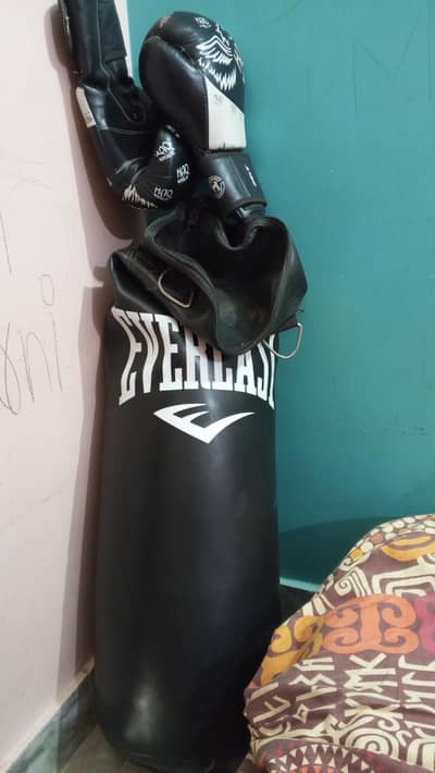 punching bag + pair of glooves