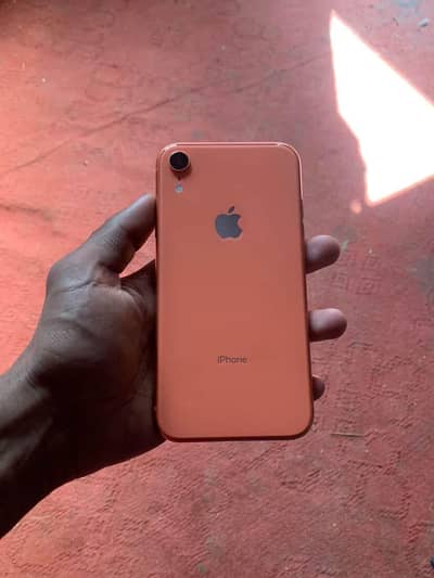 iphone XR