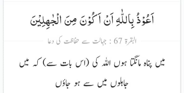 need driver job LTV license