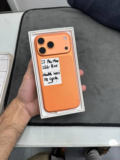 17 pro max