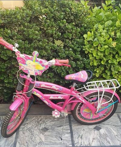 New bicycle. 20 inch. Imported. premium quality