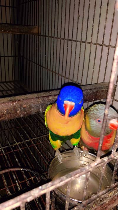 lorry and pentagon pair