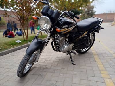 Yamaha YB 125Z 2019