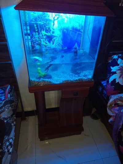 selling Aquarium with decoration and air pump