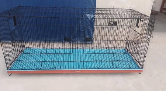 Love Birds pairs & Cage for Sale