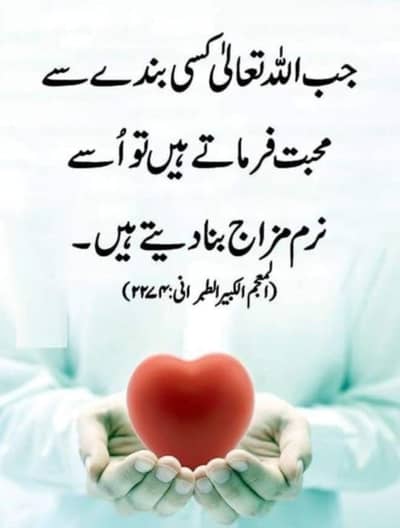 Schools sale and purchase