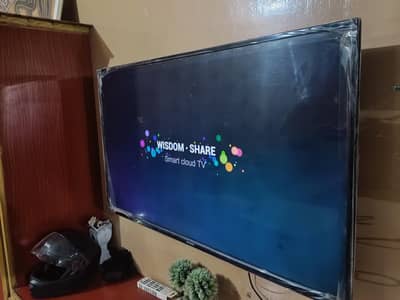 50" LCD SCREEN