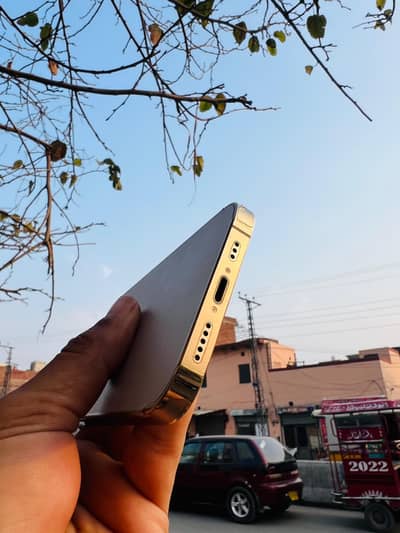 13 pro 2 month sim time