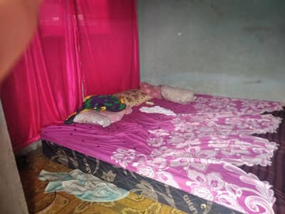 Daily basis room for couple family girls boys