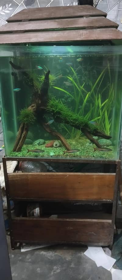 fish tank for sale