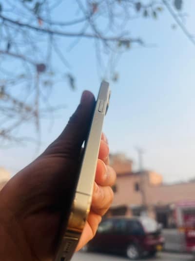 13 pro 2 months sim time