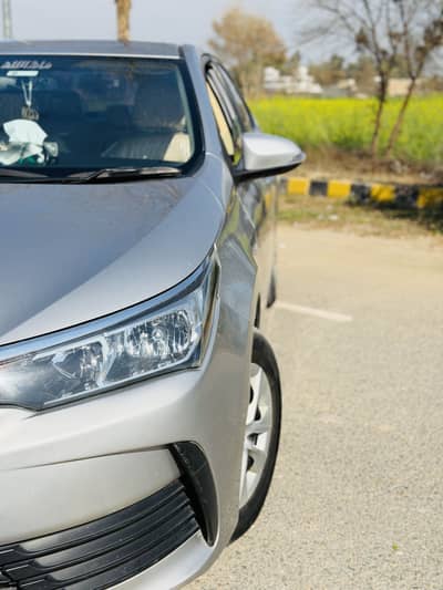 Gli 2018 b2b genuine