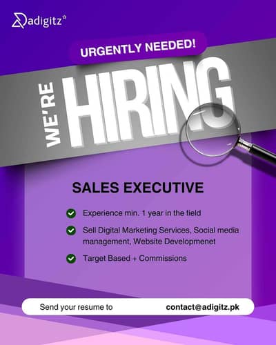 Sales Executive