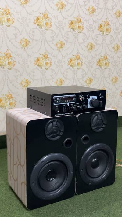 18” speaker with amplifier