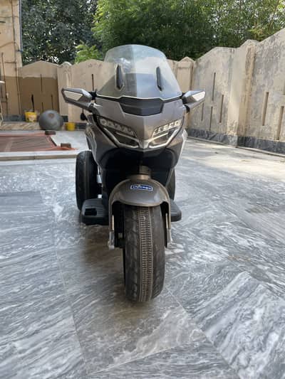 Chicago Children Electric Bike