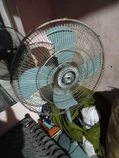 New candishan 10 by 10