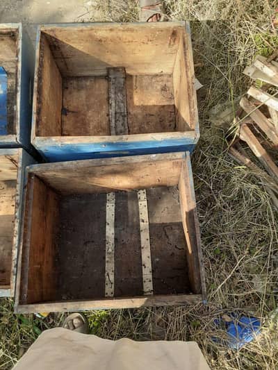 Honey Bee Boxes