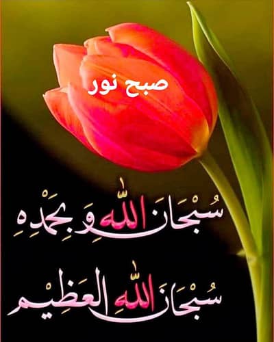 Alto 2026 model for sale