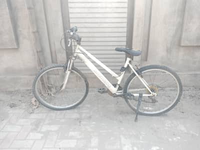 imported bicycle used