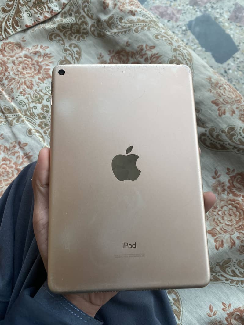 ipad mini 5 1