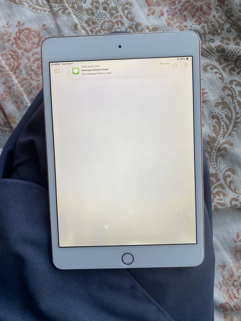 ipad mini 5 3