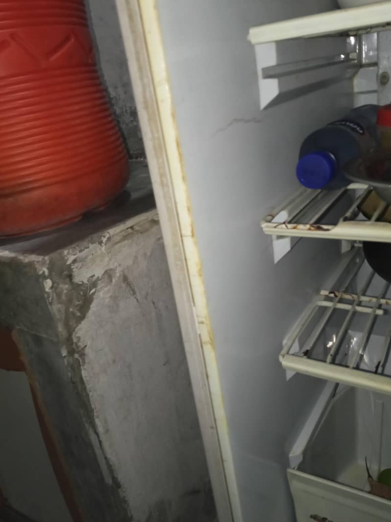 pell medium fridge 3