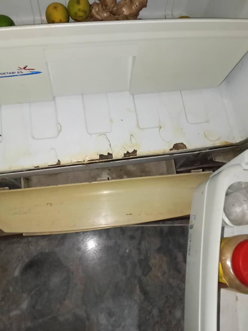 pell medium fridge 4