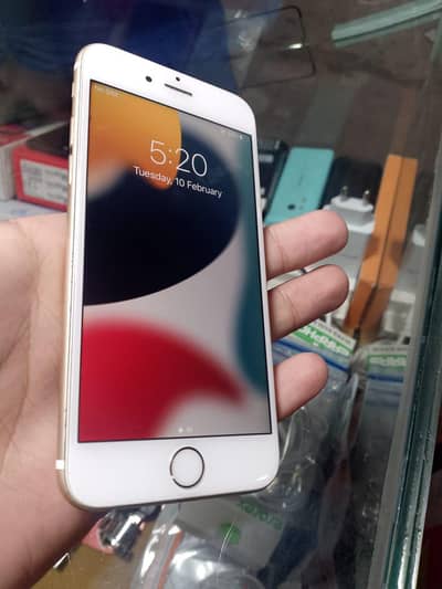 iphone 6 pta paroved