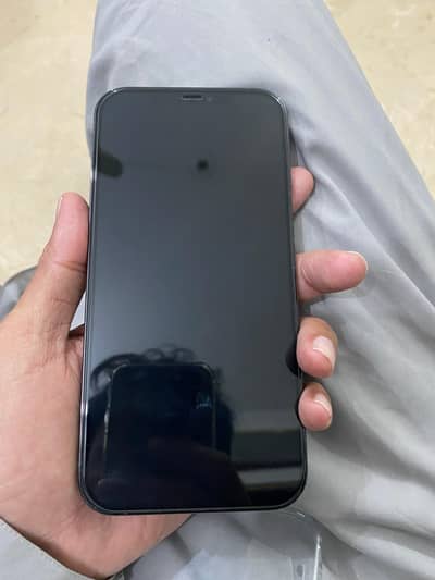 iPhone 12 Pro Max Blue