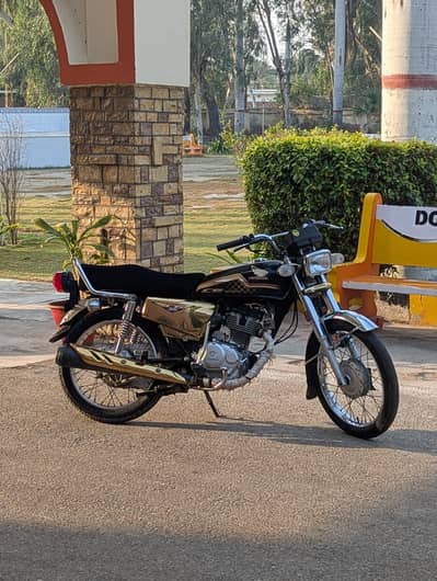 GOLDEN EDITION APPLIED 2024