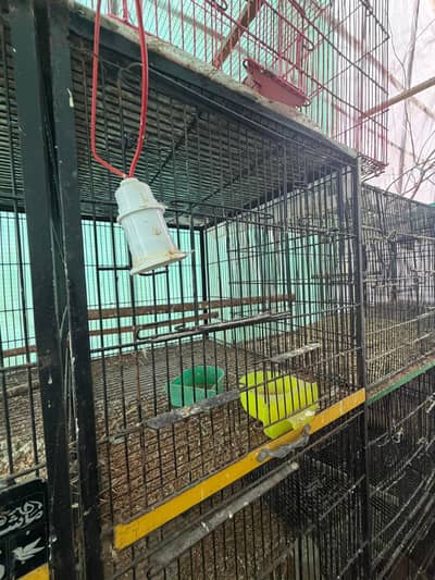 3x 1.6  size 4 portion cage available