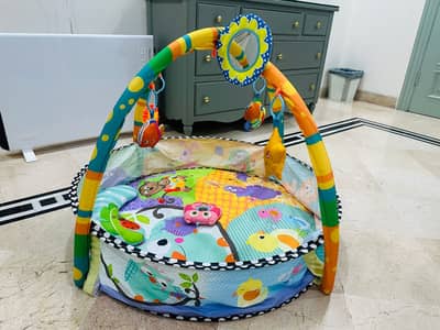 Play Gym 10/10 condition