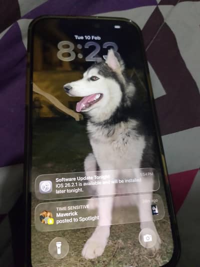 IPHONE 16PRO MAX, 256GB, DESERT TITANIUM F. U