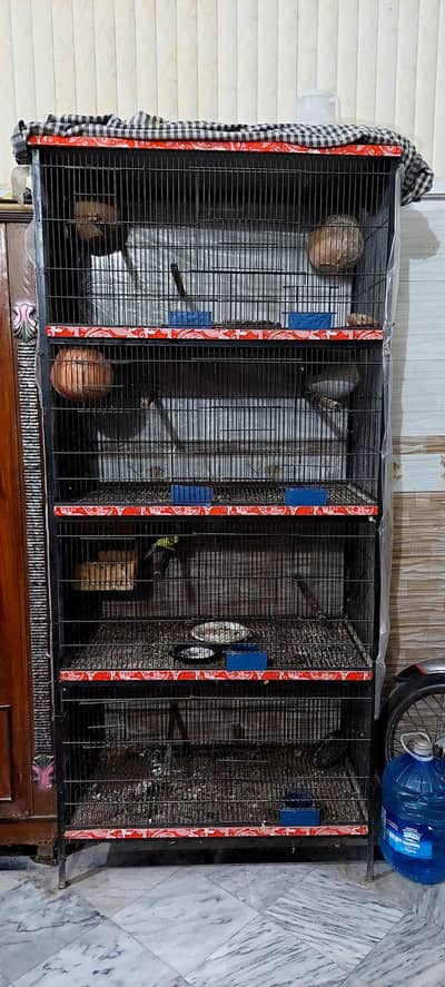 Birds Cage