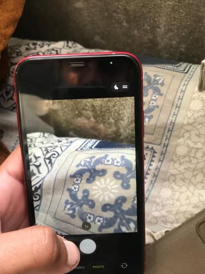 iphone 11 non Pta jv