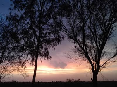 Video Editor (Freelance / Remote Collaboration)