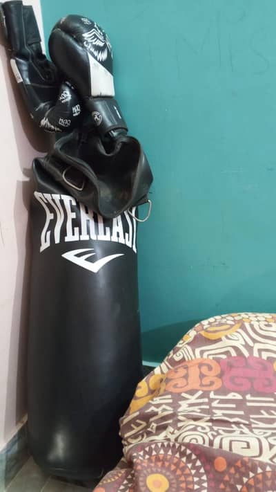 punching Bag (large size) with glooves