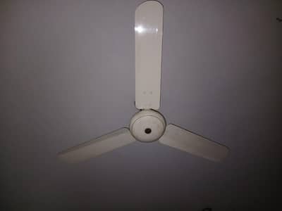 Royal 56 inch fan