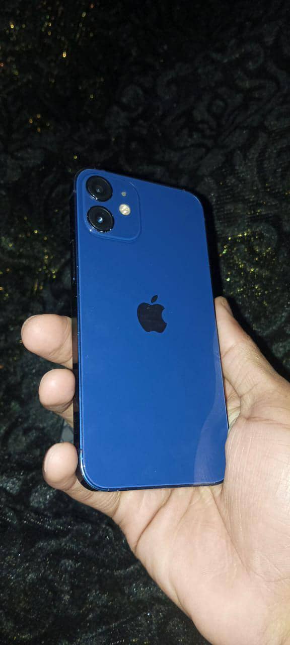 iPhone 12 mini 1