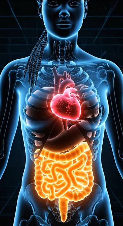 Short Video Editing Service for YouTube & TikTok